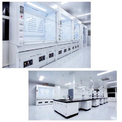Vapore Hood Chamber For Laboratory Cleanroom del filtro a carbone