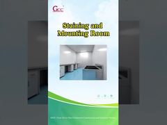 Sala di colorazione e montaggio